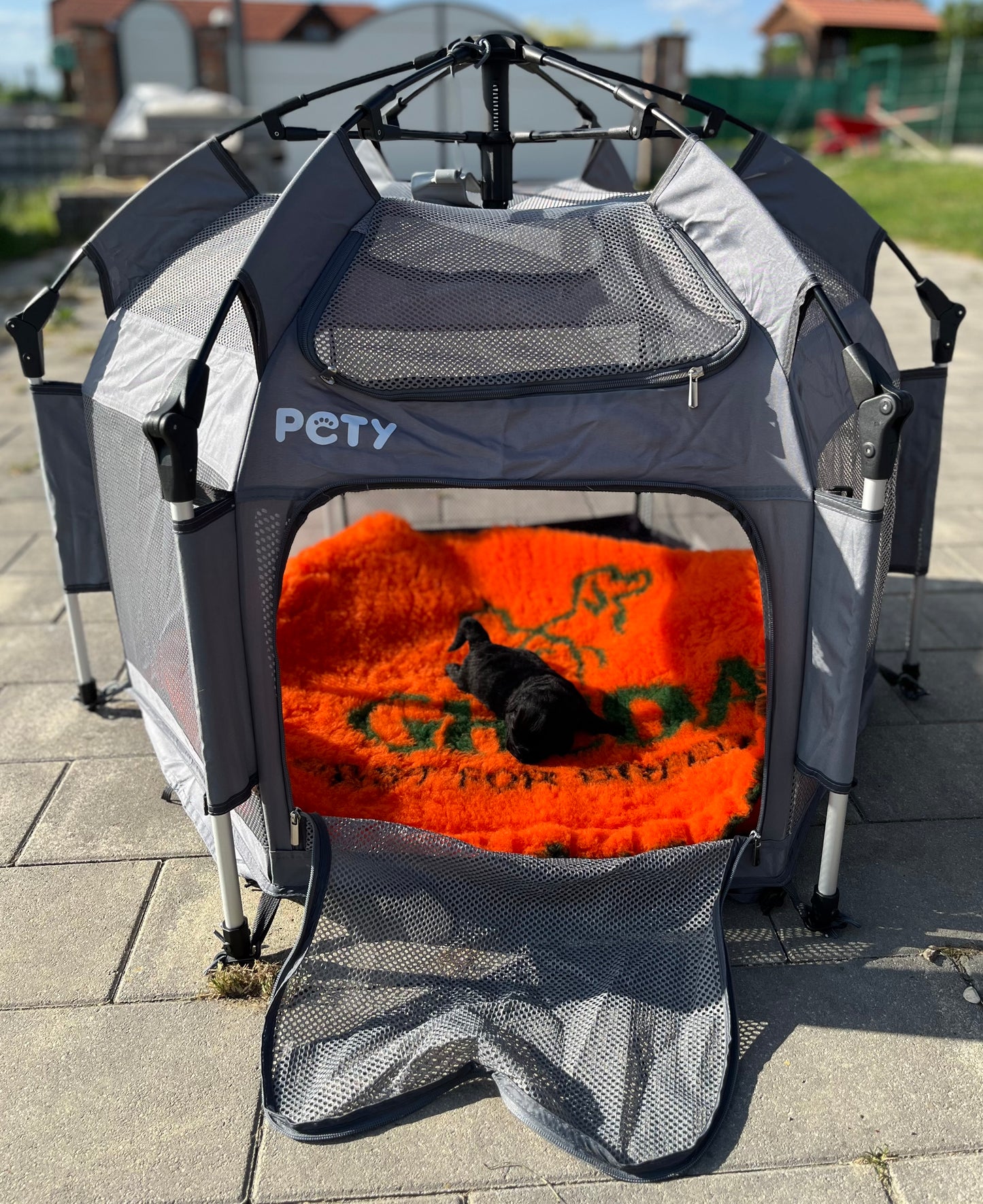 Koertenäituse domeen 100 cm ( PETI )