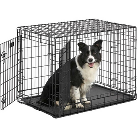 Metal Dog Cages