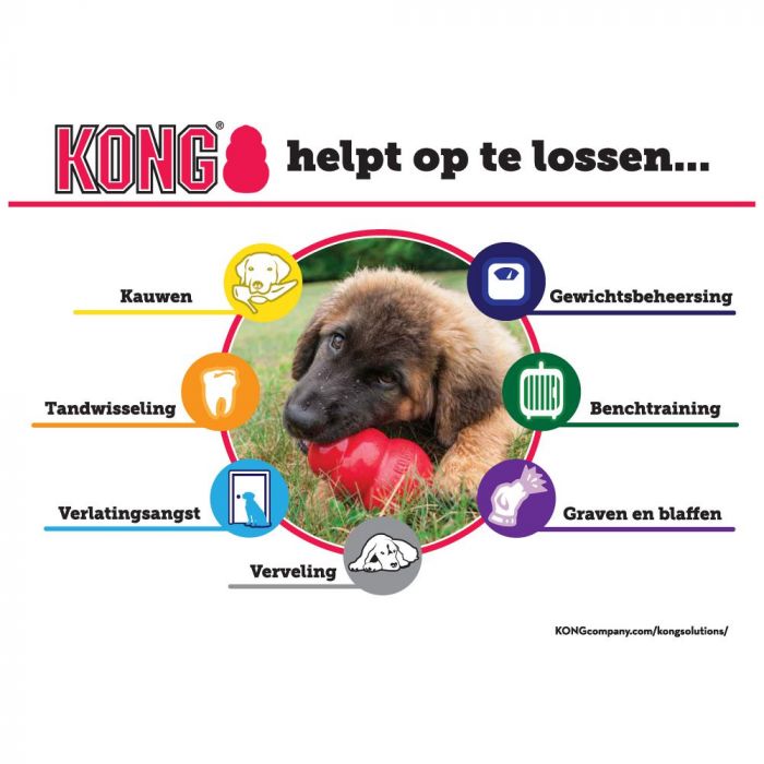 KONG KUTSIKA